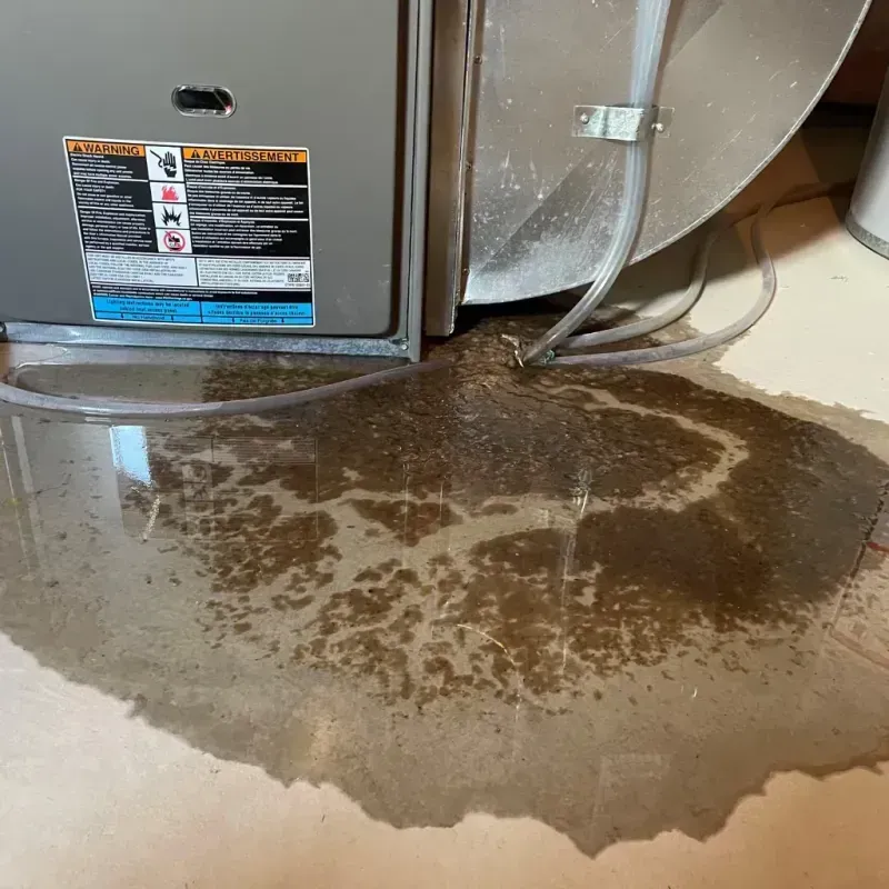 Appliance Leak Cleanup in Decatur County, GA